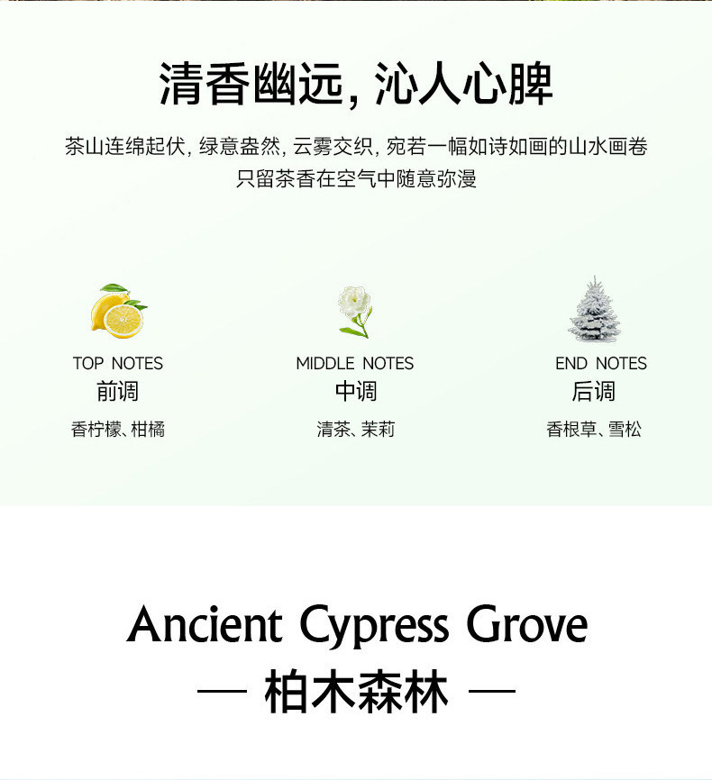 Wholesale in-stock car solid air freshener, long-lasting fragrance, car interior aromatherapy, high-end scent purification