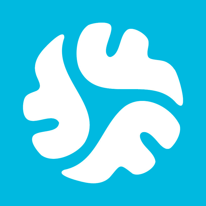 与风运动旗舰店的LOGO