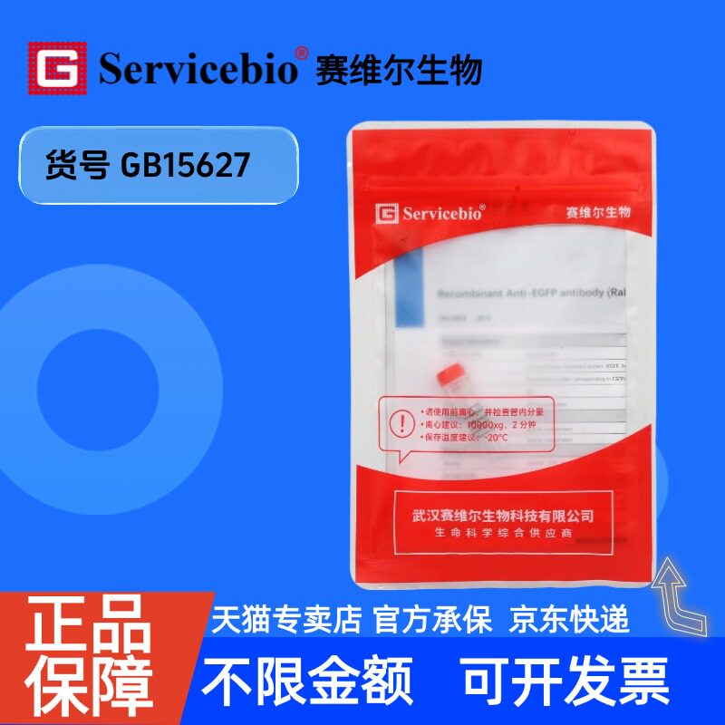 现货 Recombinant Anti-p53 antibody (Rabbit mAb) GB15627 100ul 科研生物实验抗体 赛维尔生物servicebio