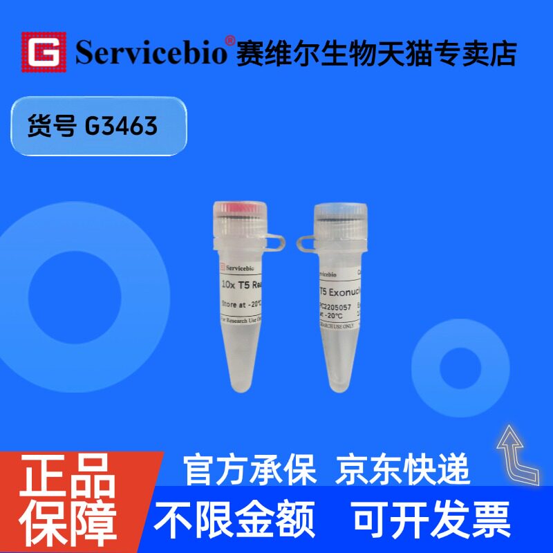 现货 T5 Exonuclease 1000U G3463 赛维尔生物Servicebio 科研实验 重组蛋白/酶