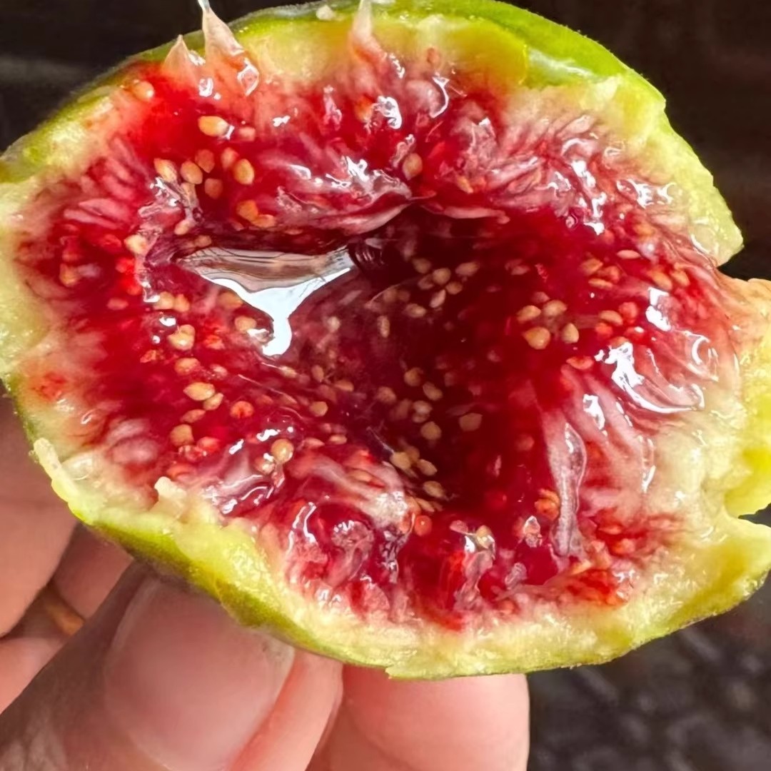 正宗特级新疆格莱斯红皮无花果当季现摘！顺丰包邮新鲜到家🍇