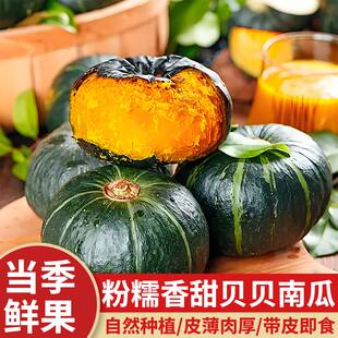 正宗贝贝南瓜板栗小南瓜