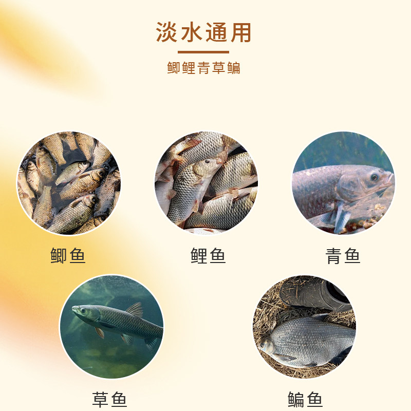 钓鱼神器🔥西部风老坛甜薯玉米饵料,专为淡水巨物而生🎣-台钓饵-淘宝好物网