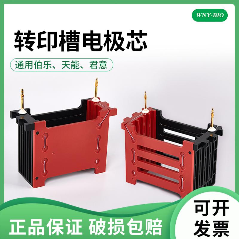 维宁雅通用伯乐/天能western blot 转印内芯 2块胶/4块胶转印内芯 转印模块