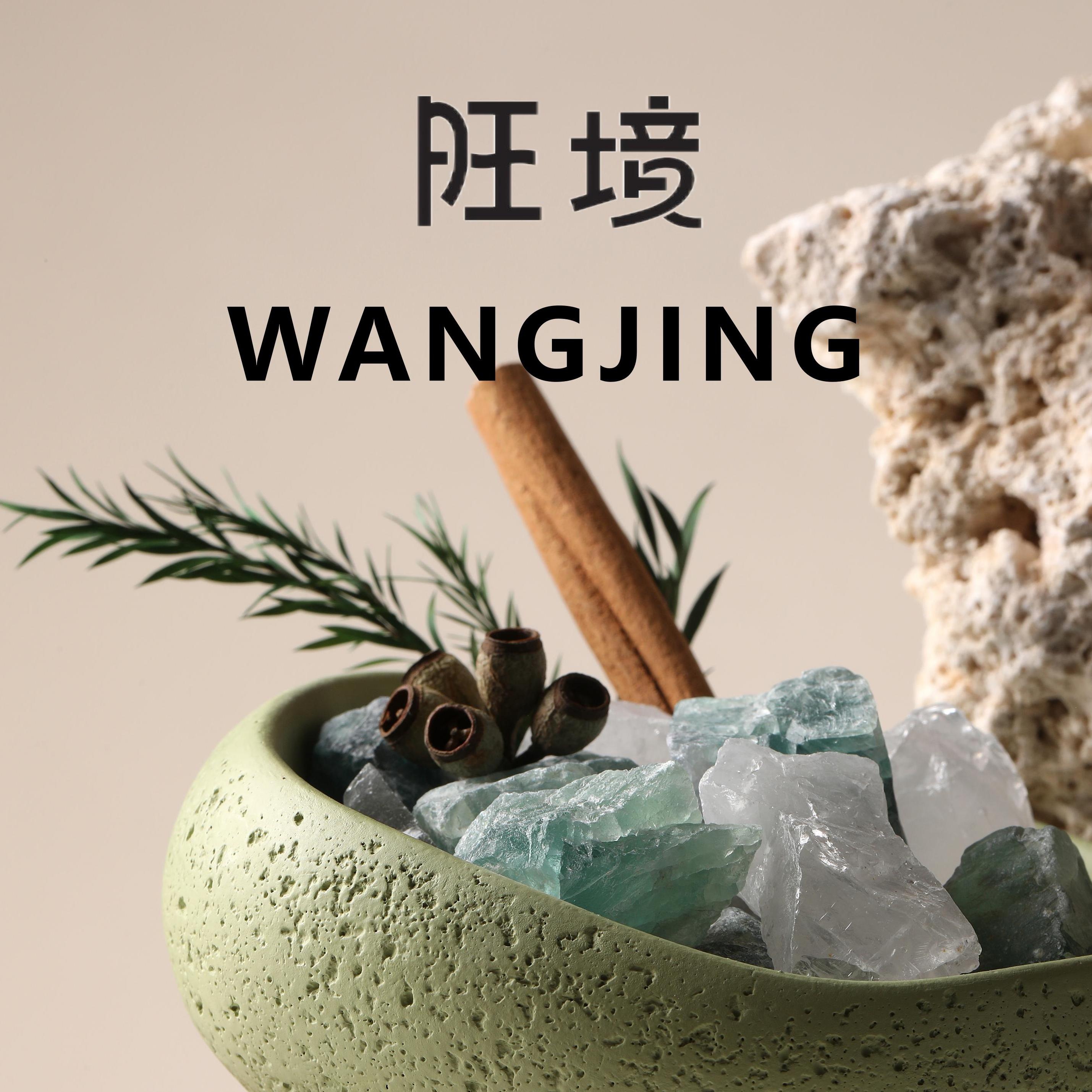 旺境官方企业店