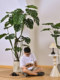 Artificial Green Plant Monstera for Living Room and Office, Realistic Indoor Plant Potted Greenery, Floor Decoration Fake Tree