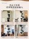Simulated Green Plant Black Diamond Indoor Living Room Large Floor-Standing Potted Plant High-End Artificial Rubber Tree Ornament Decorative Tree