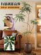 Large Artificial Green Plant Peacock Tree Indoor Living Room Floor-Standing Decorative Flower High-End Bionic Plant Potted Bonsai Ornament