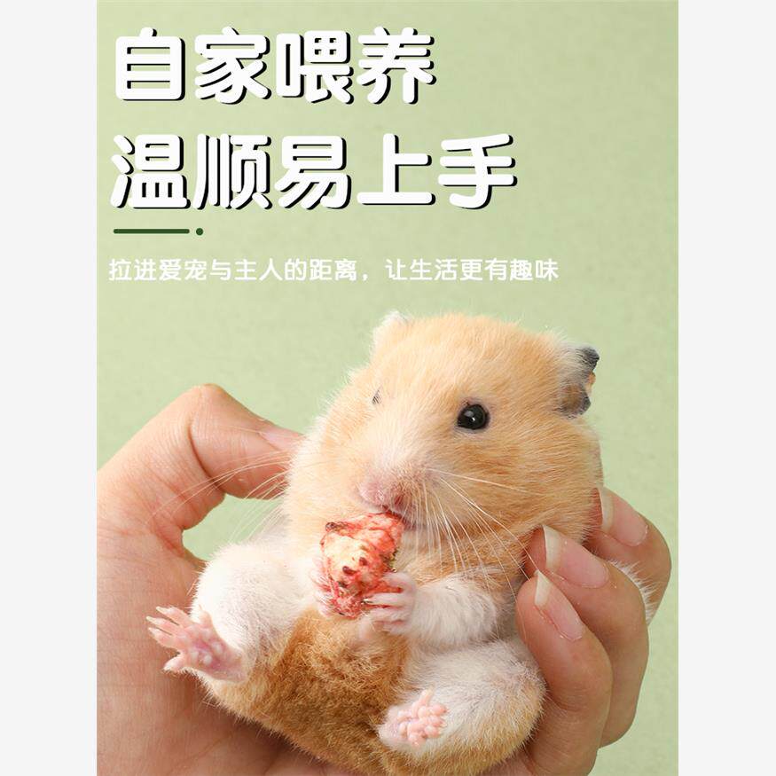 家养金丝熊淘宝店铺怎么运营？25年新手入门全攻略