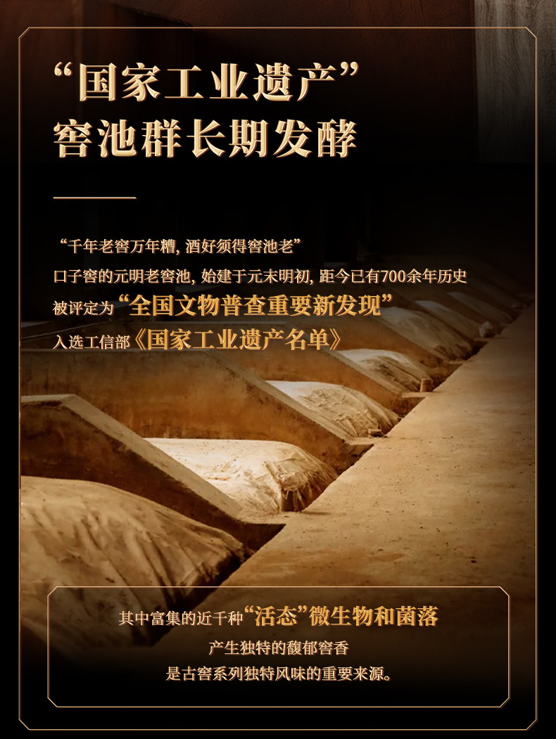 安享好物 安享B级白酒-口子窖古窖清白酒 企标 