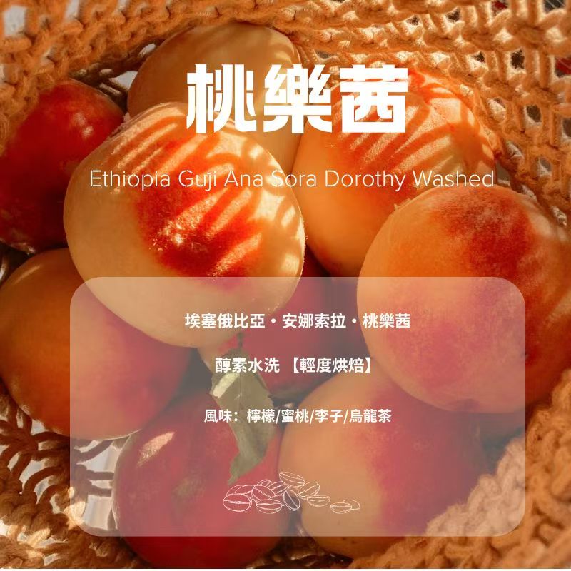 Ethiopia Annasola Dorothy Enzyme Washed G1 Hand-Brewed Single Origin Coffee Beans Peach Oolong Flavor