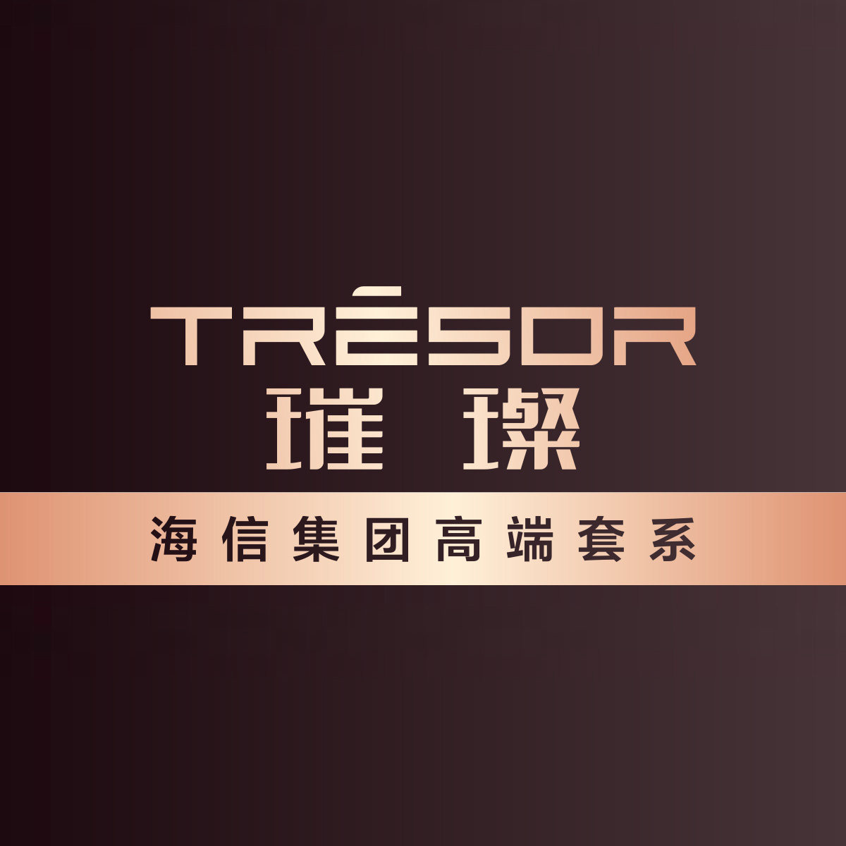 海信璀璨旗舰店