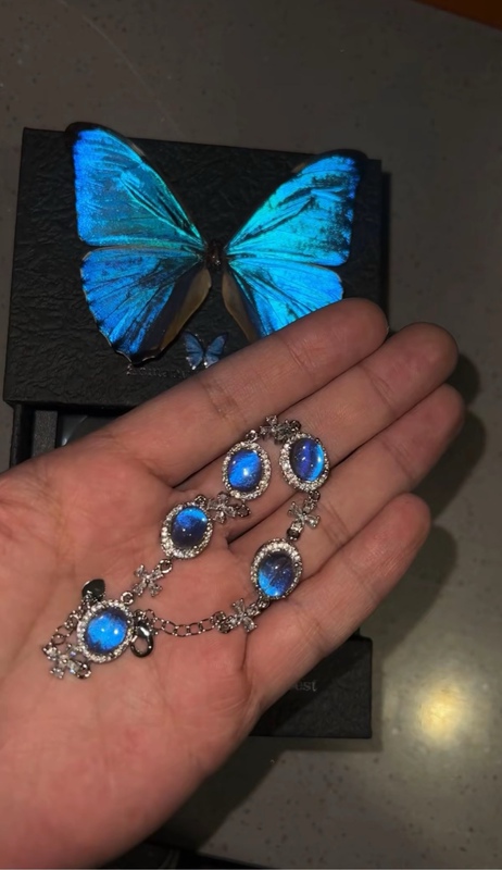 Blue Morpho Bracelet Real Butterfly Production Niche Temperament Jewelry Birthday Gift 520 for Girlfriend and Best Friend