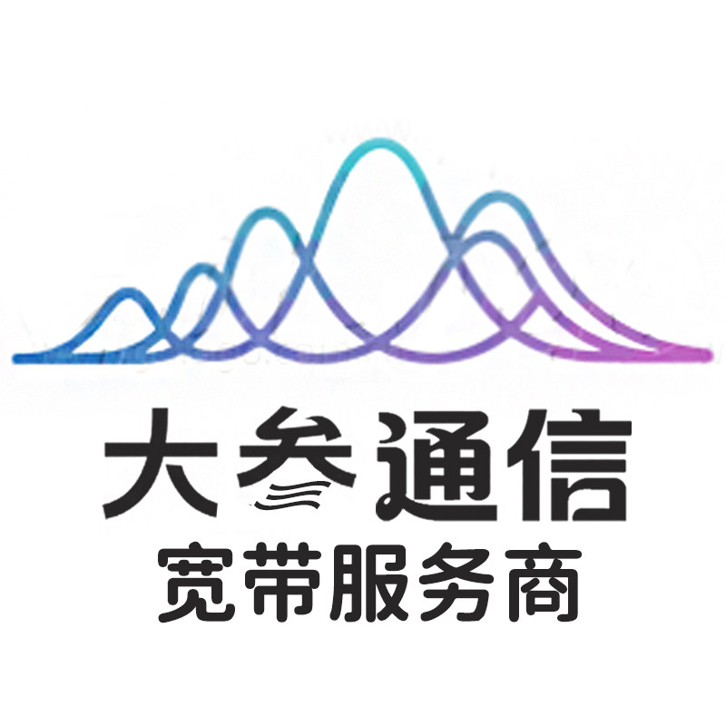 大叁通信专营店