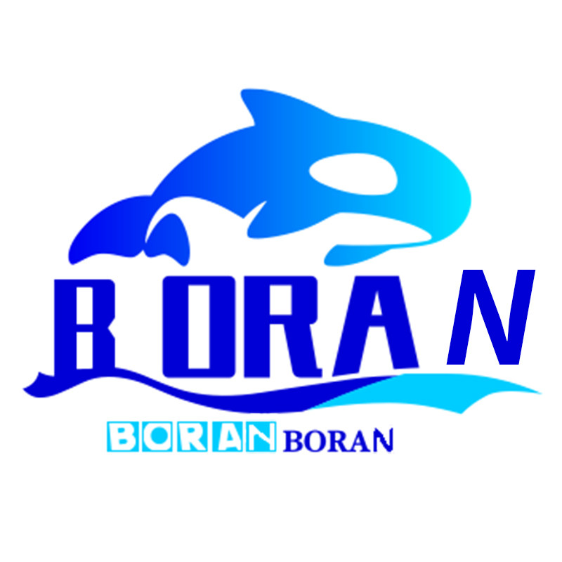 BORAN环球汇的LOGO