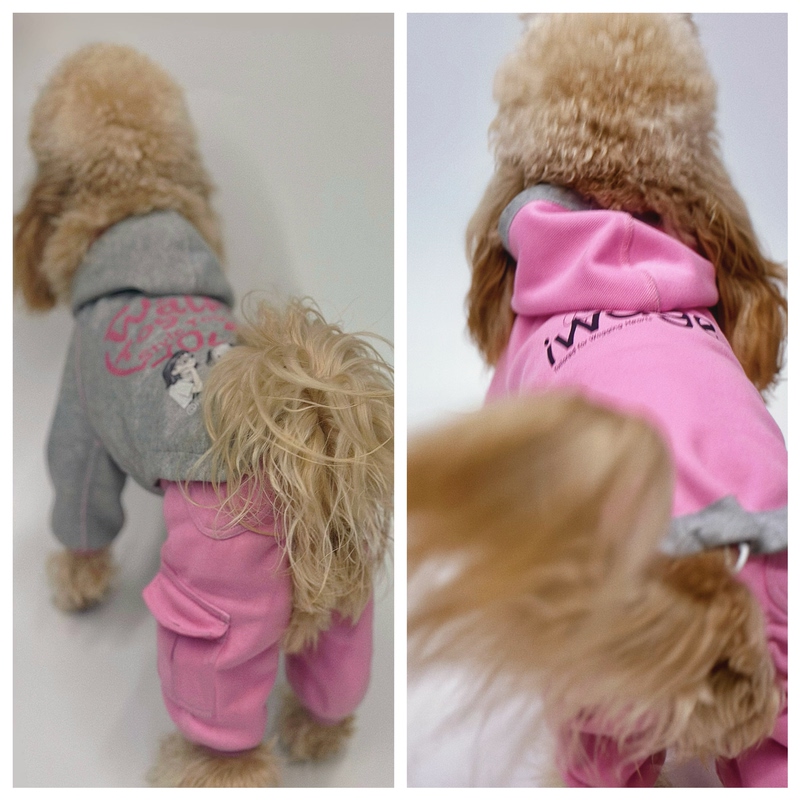 Iwage Dog Spring Reversible Hoodie Dog Sweatshirt Color-Blocked Hoodie Dog Hooded Sweatshirt