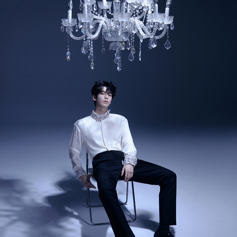 Zhang Linghe Celebrity Style White Long-Sleeve Shirt with Pearl and Diamond Embellishments, Heavy Craftsmanship, Stand-Up Collar, Men's Court-Style Satin Shirt, Trendy