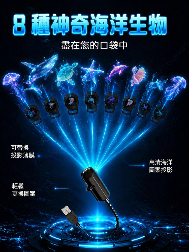 详情13.jpg