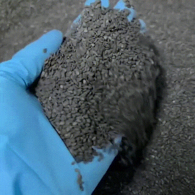 20260520_142221_017.gif