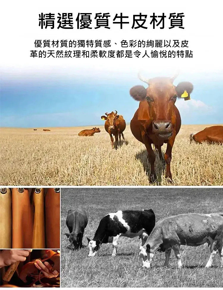 详情16.jpg