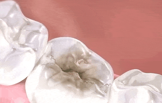 10028.gif