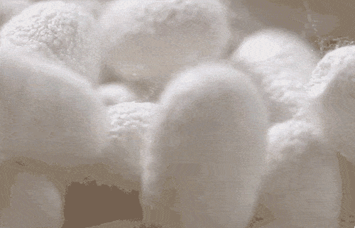 20260701_111918_033.gif