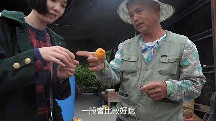 04.gif