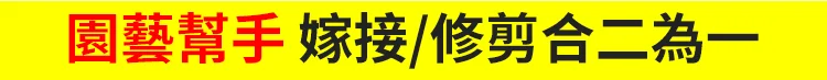 03.webp