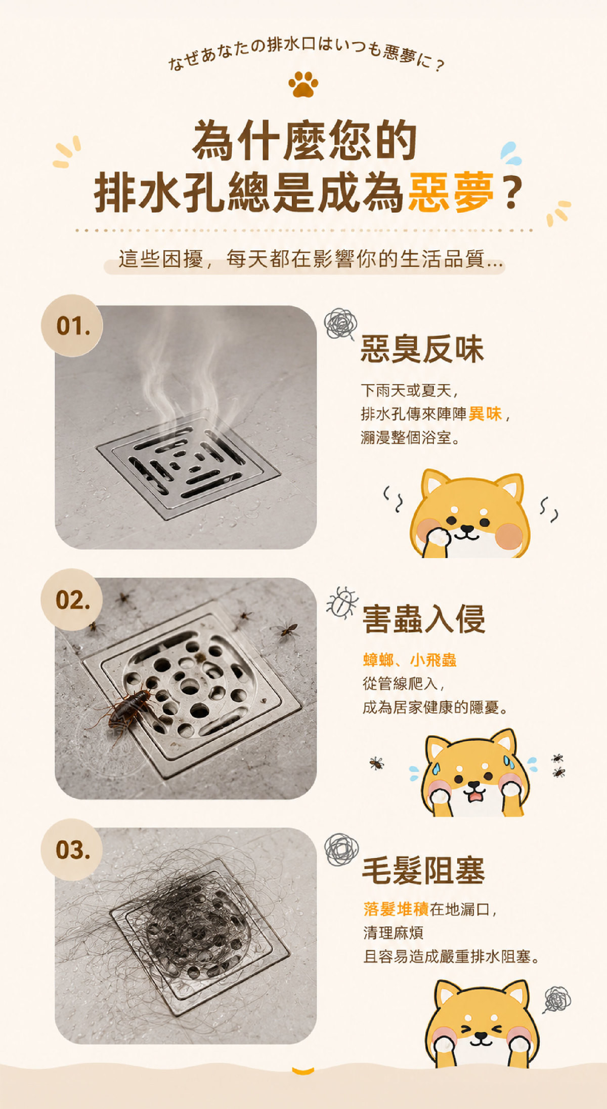 详情03.jpg