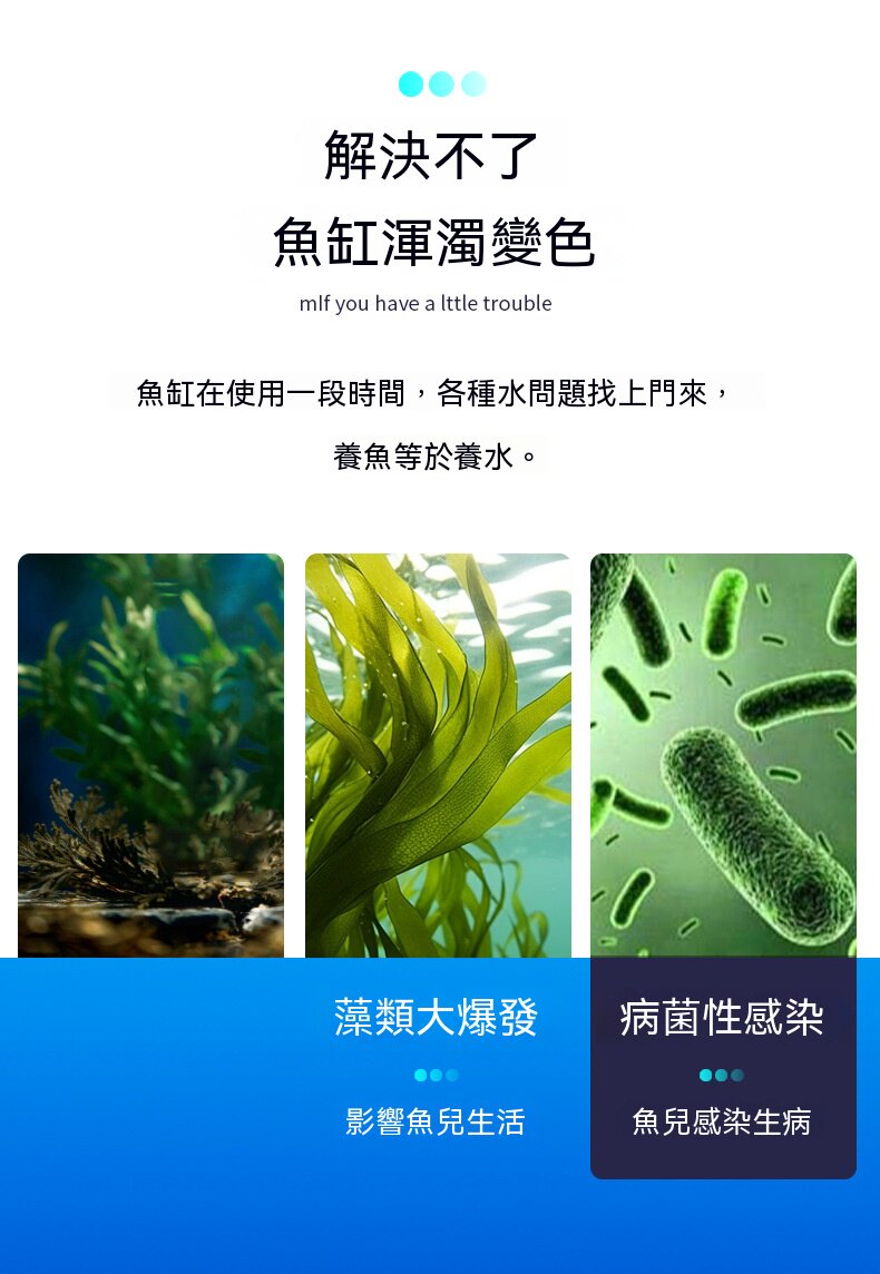 详情03.jpg