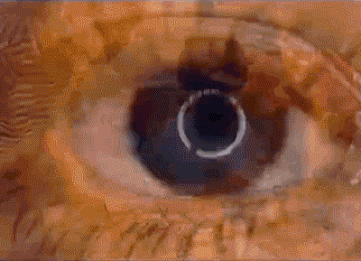 20260720_170504_070.gif