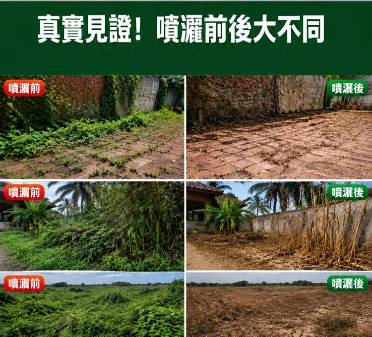 详情14.jpg