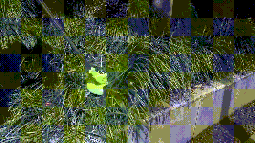 20260618_100247_077.gif