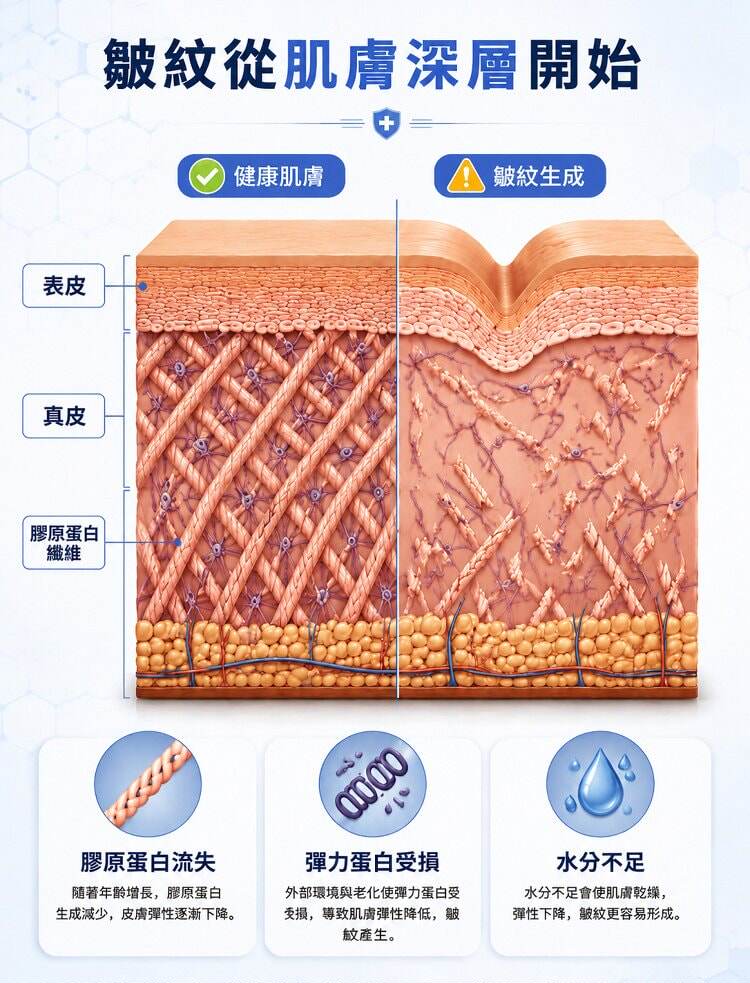 详情10.jpg