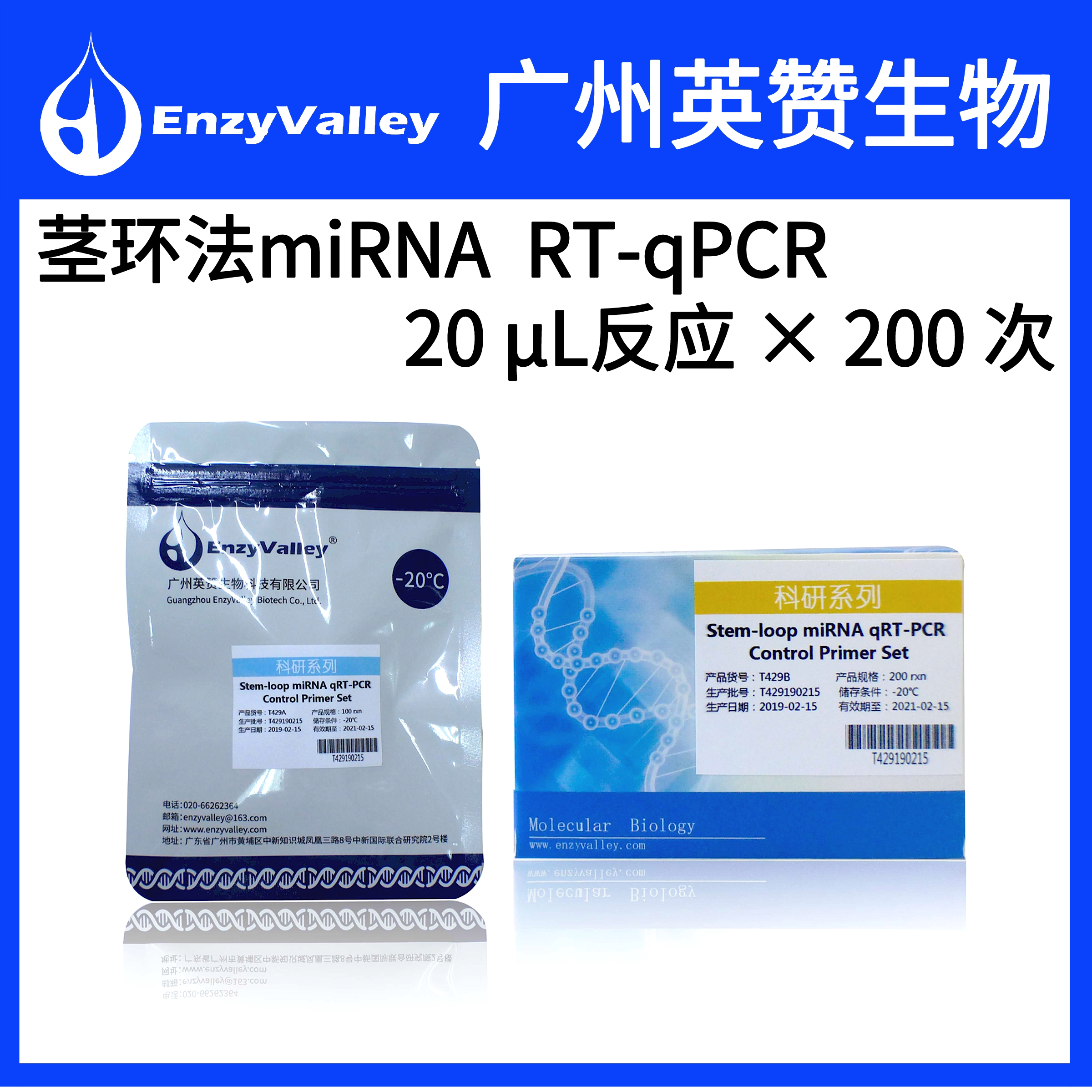 T429 Stem-loop?miRNA?qRT-PCR?Control?Primer?Set