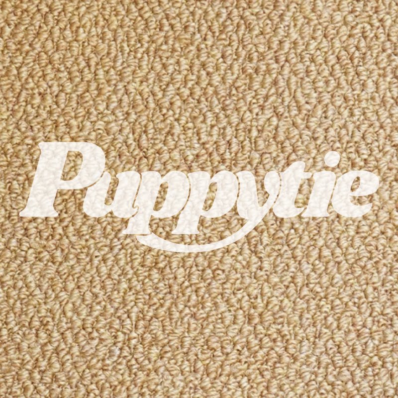 puppytie翔宠专卖店