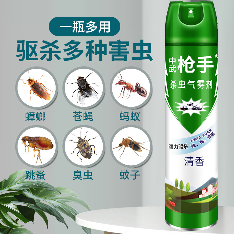 如何挑选最适合的小飞虫克星——果蝇诱捕器、杀蝇饵剂、家用杀虫剂?