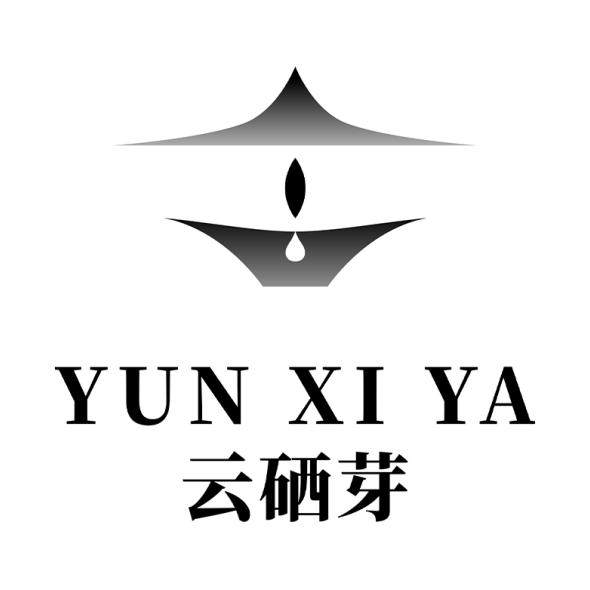 云硒芽茶叶旗舰店