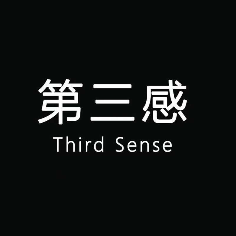 第三感车载汽车用品企业店