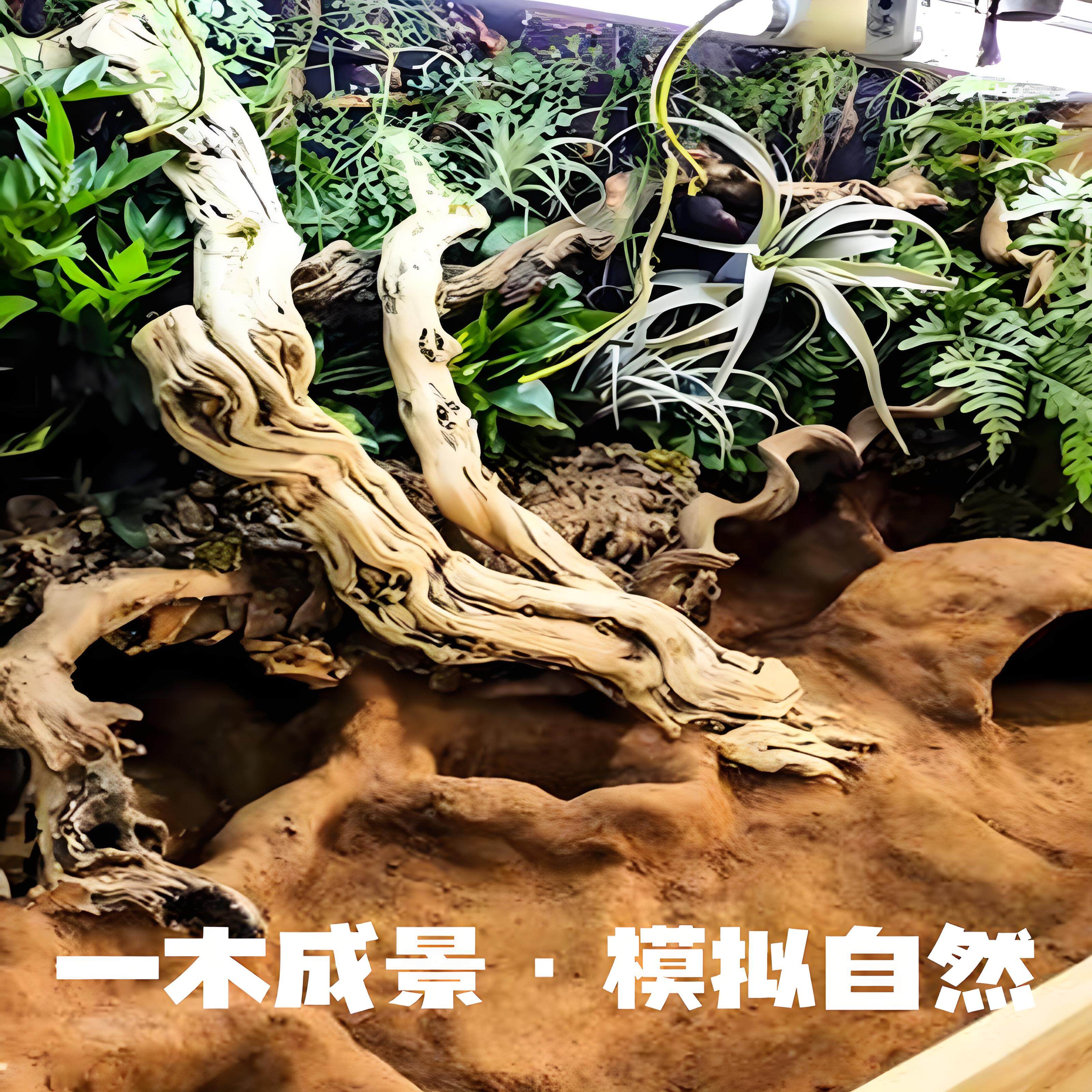 🌿 Create the perfect reptile paradise! natural tree vines climbing vines 🌿