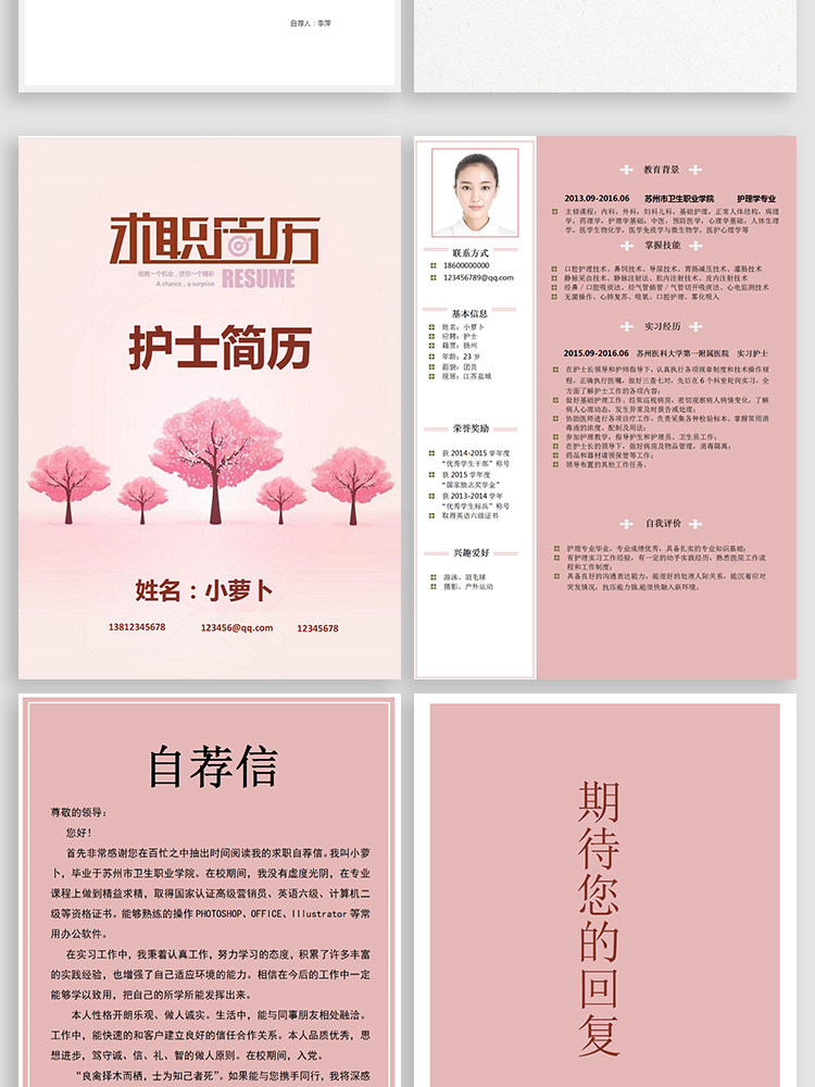 图片[30]-188套护士简历模板-医学影像药学临床医生护理专业医护求职面试简历【电商热销】-暗冰资源网