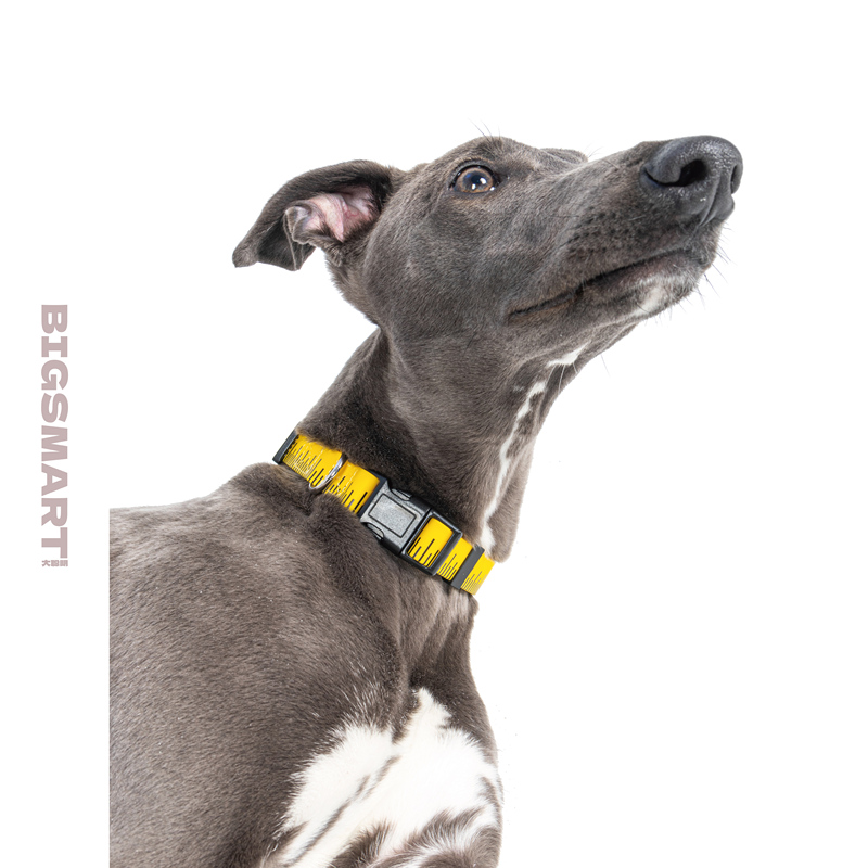 Bigsmart Original Pet Collar, Personalized Cat and Dog Collar, Universal and Durable Creative Collar for Small and Medium-Sized Dogs
