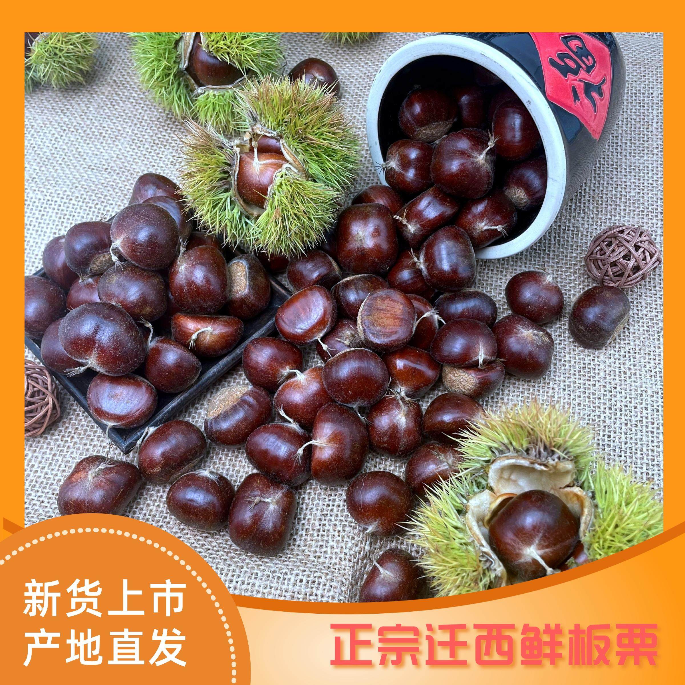 正宗魅栗新货来袭!河北迁西板栗,大粒新鲜油栗,吃出满满幸福感!🌰💕-新鲜板栗-淘宝百科网