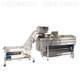 Factory raw Apple cleaning machine, commercial jade NJQ pillow potato wool roller peeling machine, rust fruit steel brush peeling