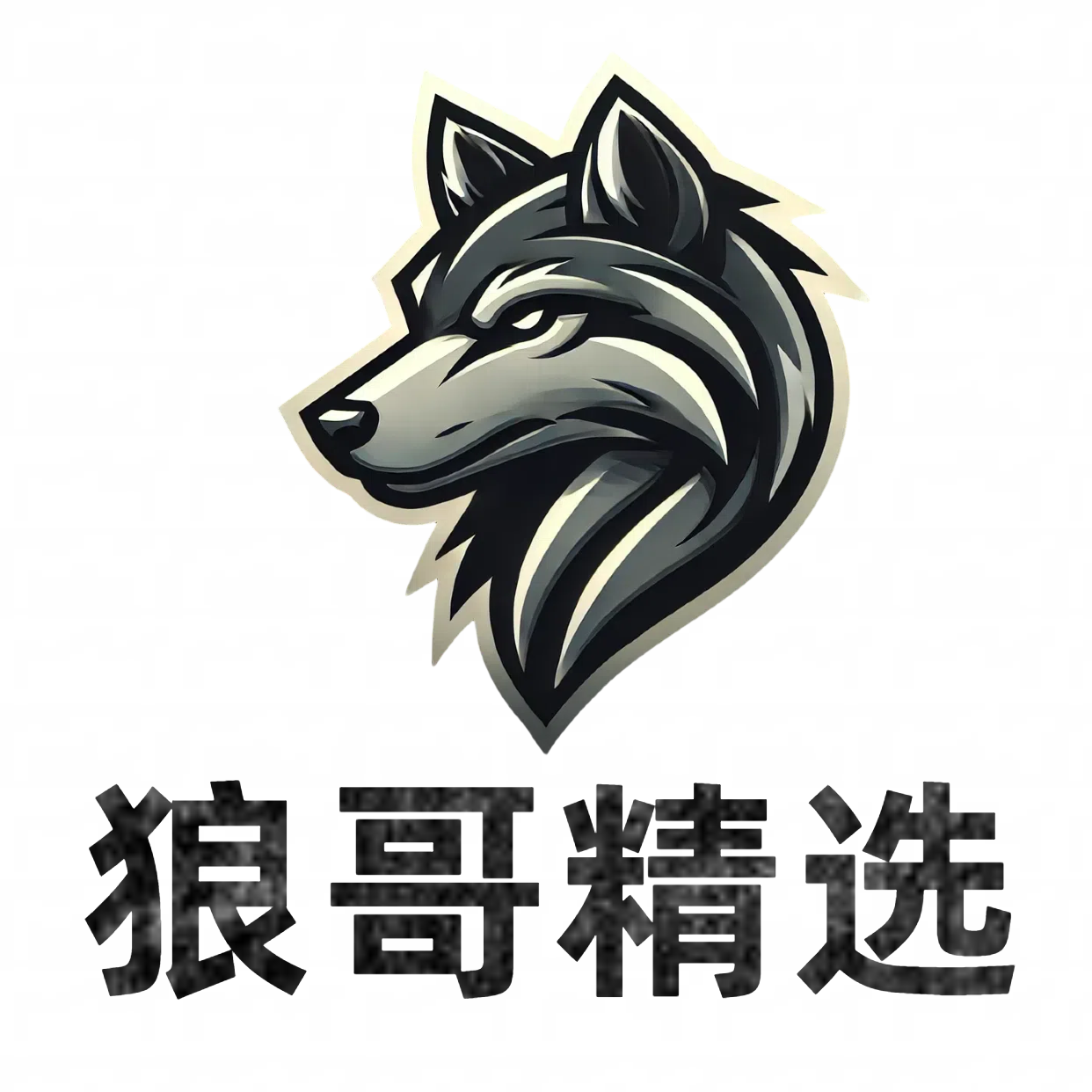 狼哥精抖音自媒体直播插件模板软件教程