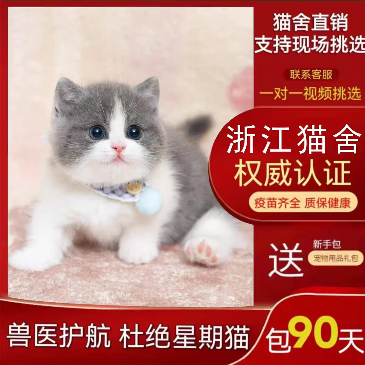 猫咪网购知识与精美图片展示以及猫咪品牌盘点-淘宝好物网, image size:1200x1200