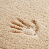 Небольшие коврики на спальне спальни, большая комната, полная сплошной шерсти, передние колодки перед землей, длинная полоса сопротивления грязи