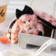 Mm Milk Candy Mini Rabbit Plush Pendant Blind Box Doll Girl's New Year Gift Toy Figure Keychain
