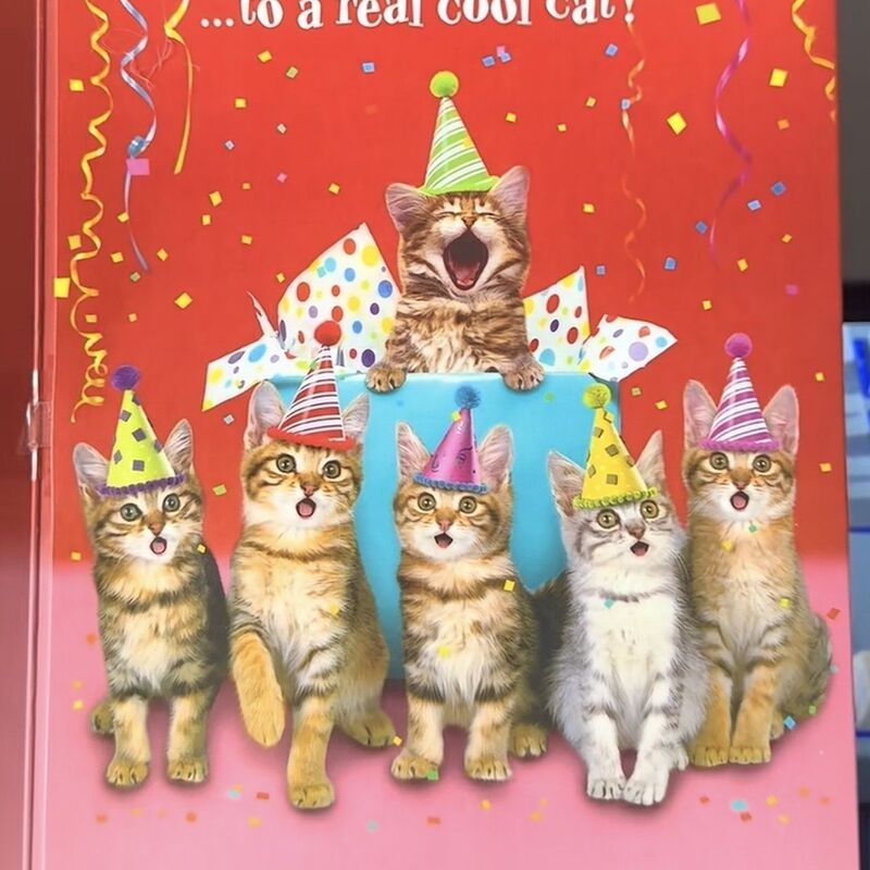 Kitten Music Greeting Card, Cute Cartoon Cat, Opens and Plays Music, Birthday Greeting Card, High-End Blessing Card