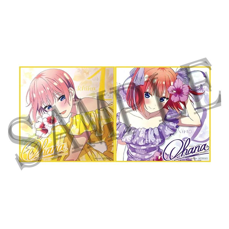 五等分的花嫁入场者特典版中野三玖色纸映画五月二乃超可爱！(๑&gt
